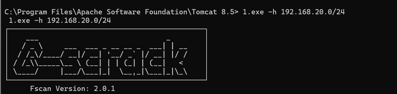 image-20250729004809814