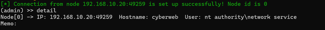 image-20250728235727818