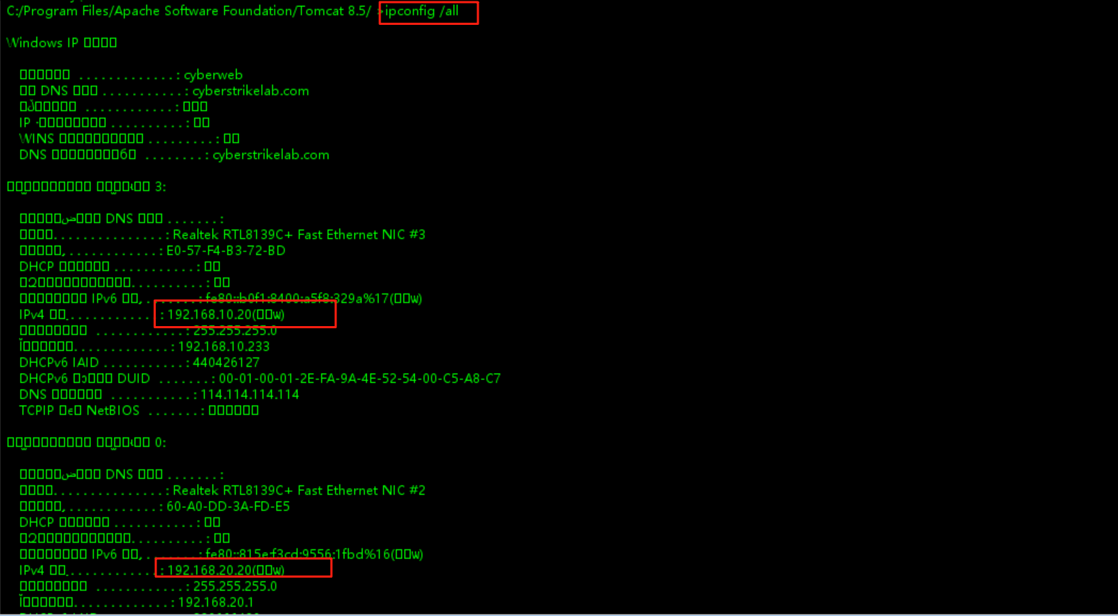 image-20250728200442447