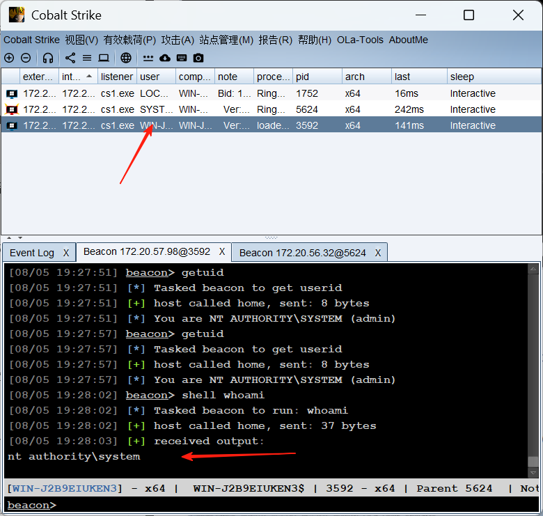 image-20250805192856591