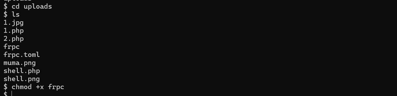 image-20250327213455651