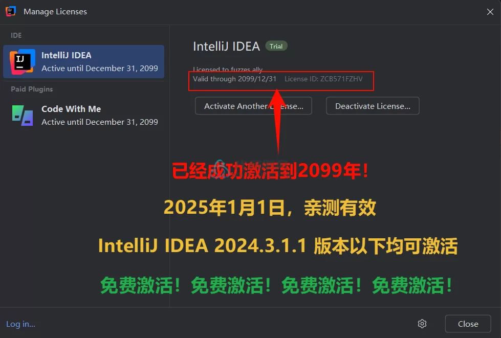 IntelliJ IDEA 2024.3.1.1 最新版安装教程-至2099年（适用JetBrains 全家桶）