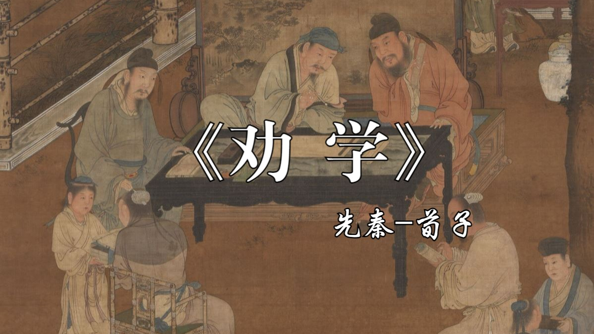 buu大杂侩（每日更新？法定节假日除外）