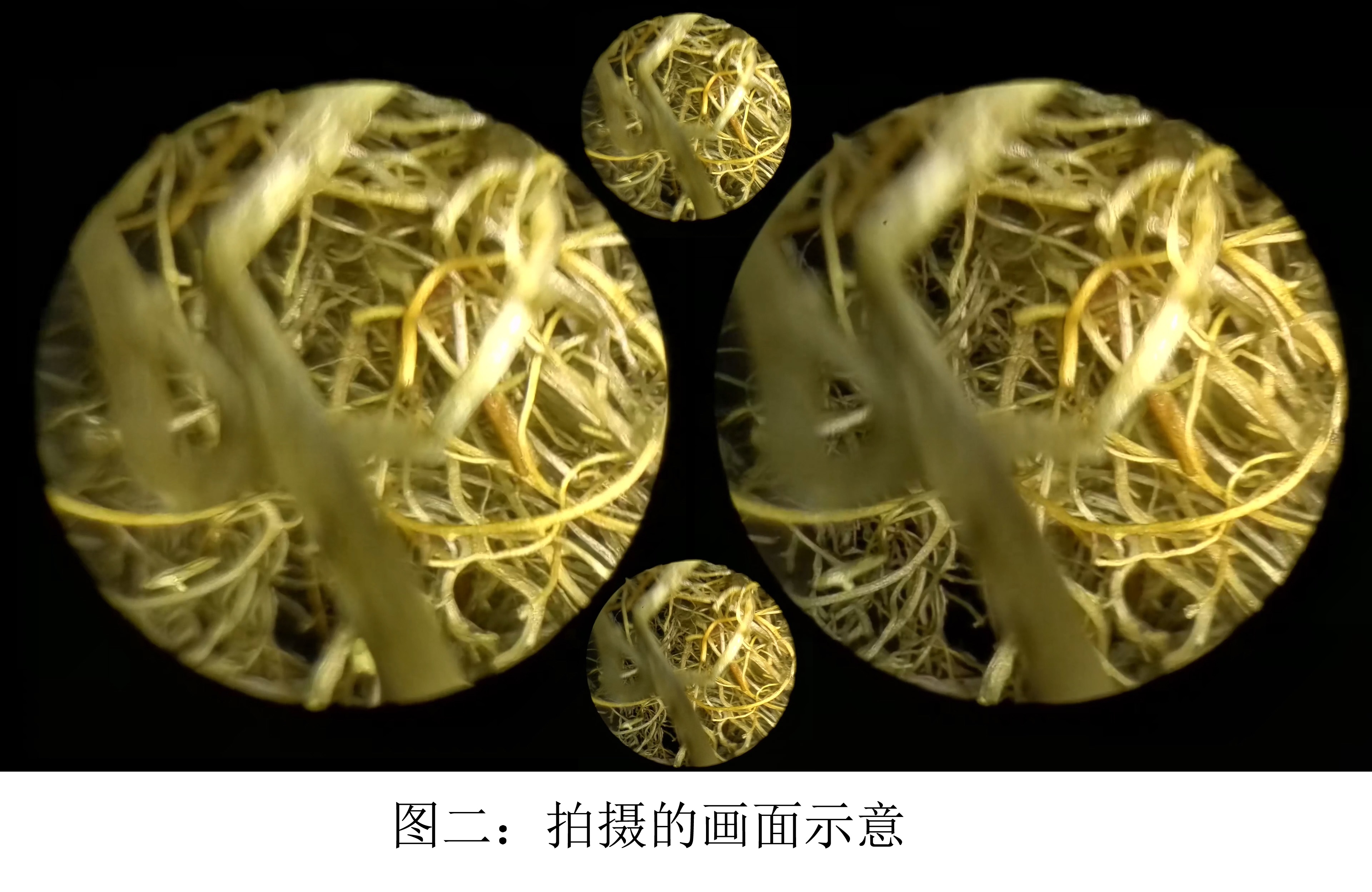 图二：拍摄的画面示意
