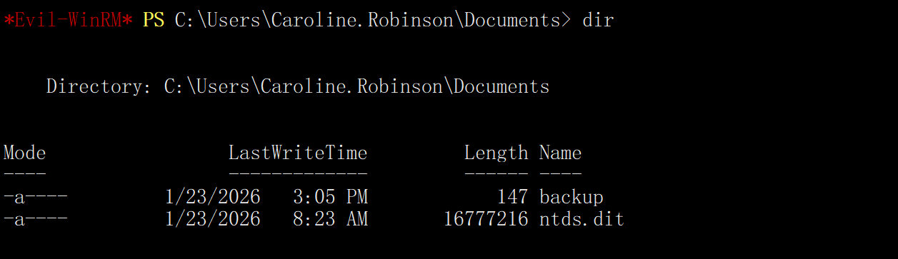 image-20260123231215403