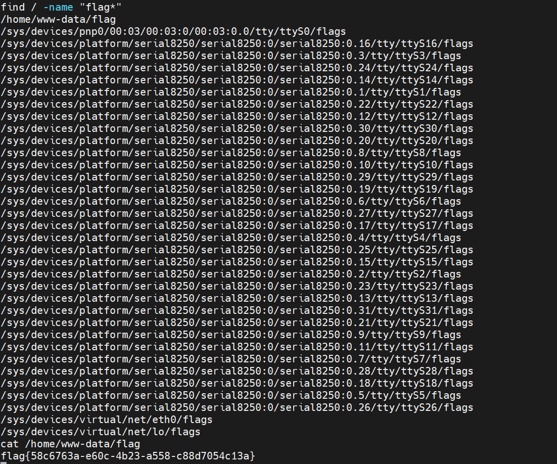 image-20260201124409245