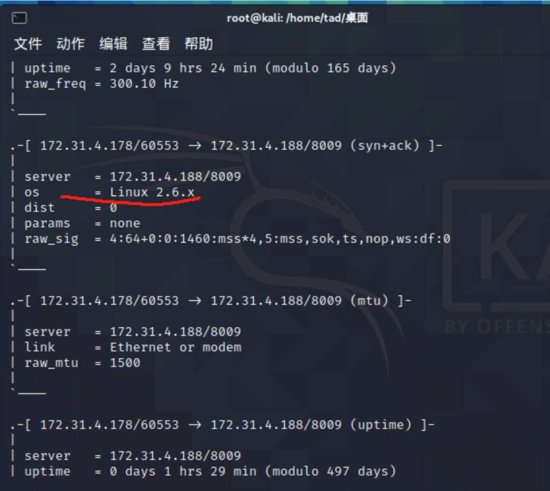 20242934 2024-2025-2 《网络攻防实践》第3周作业