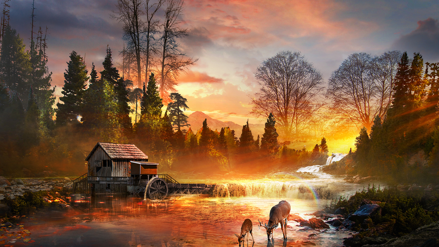 阶段性总结与计划（2025.11.24）