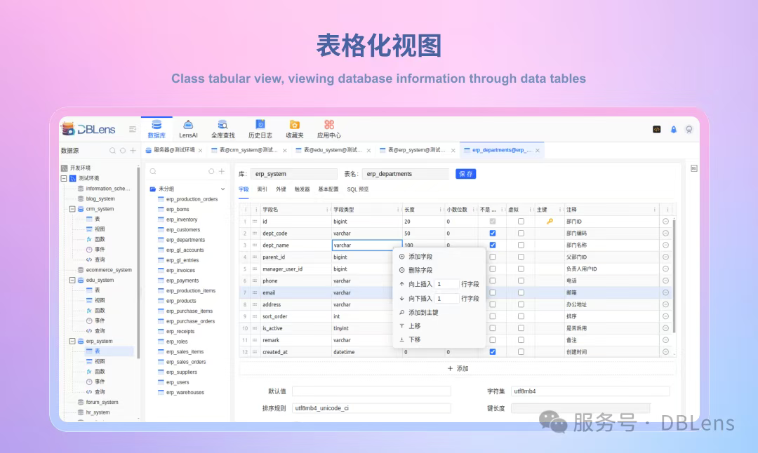 dblens 表格化设计