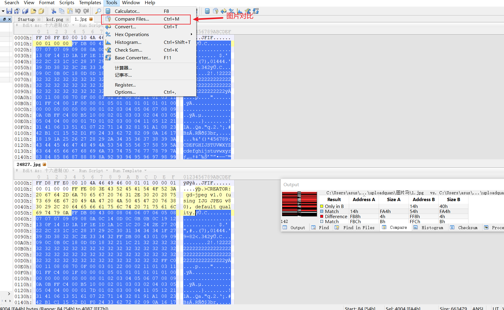 image-20251120133807885