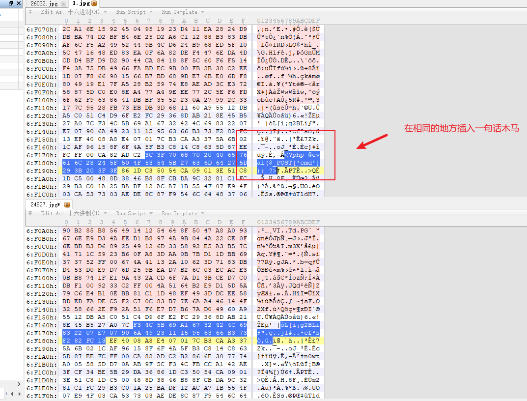 image-20251120181459006