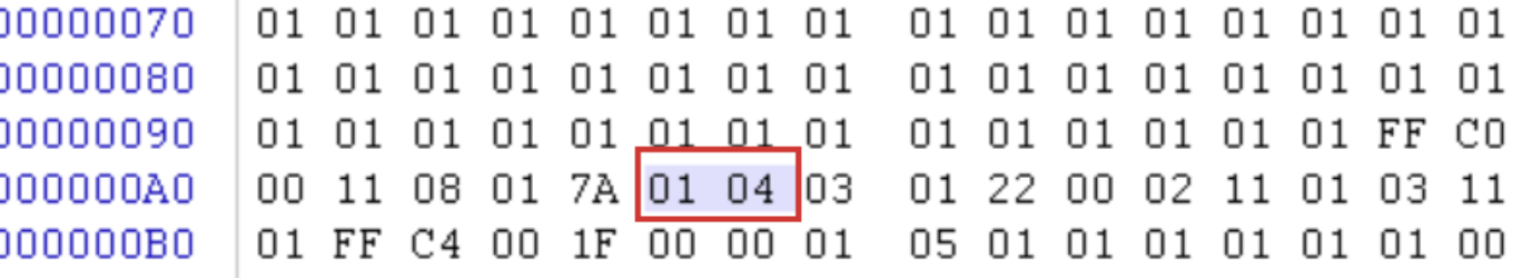 image-20250504144452368