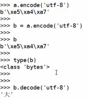 image-20250422195342406