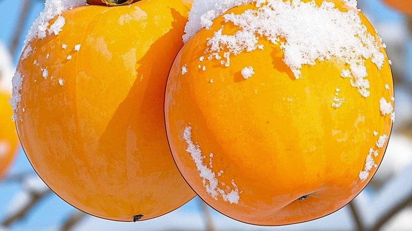 阅读《纳瓦尔宝典》:有人等着被打造,有人是自己在探索