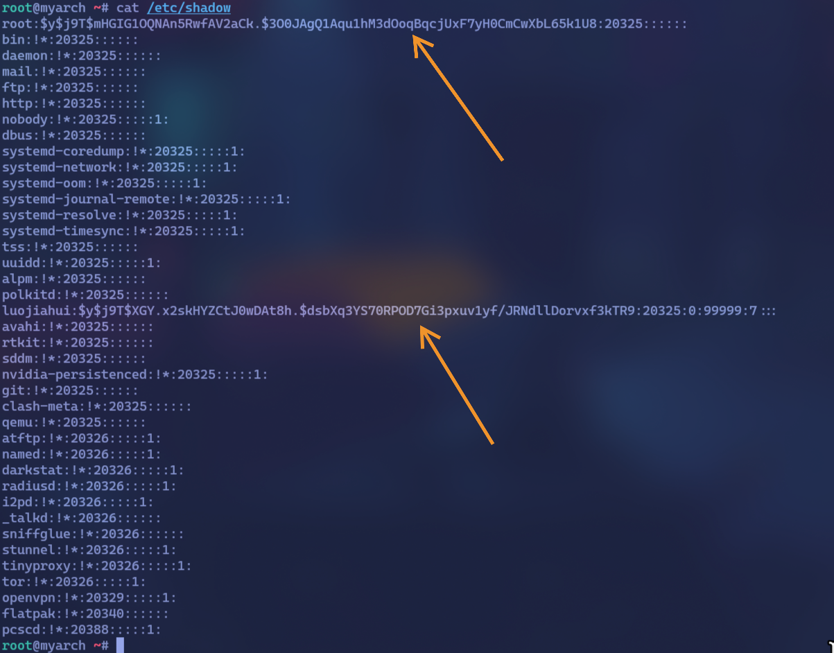 image-20251123210605667