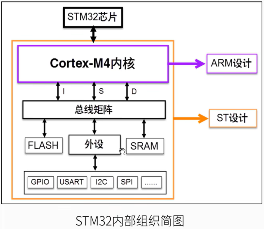 STM32内部组织简图