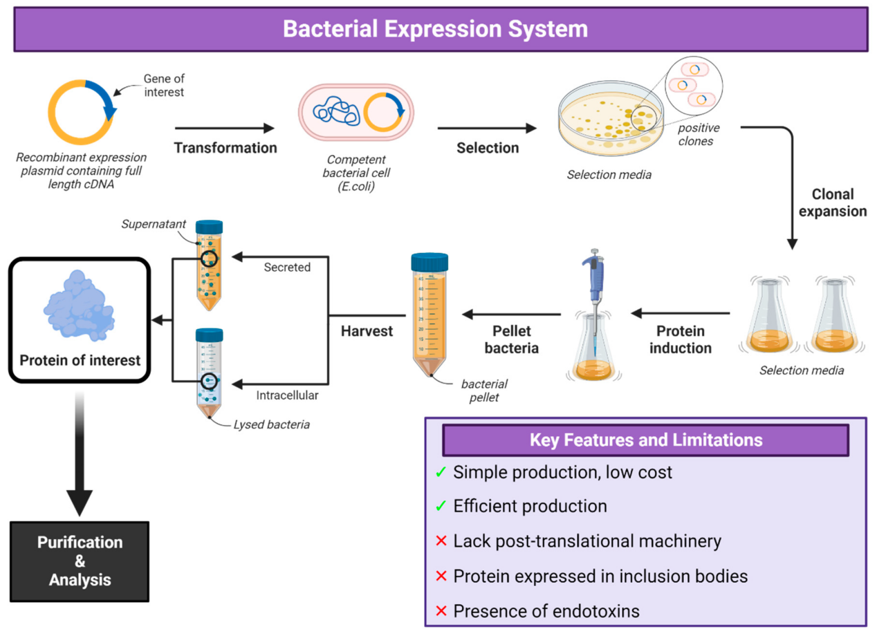 vaccines-12-01344-g002
