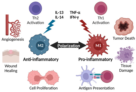 cancers-14-02178-g001-550