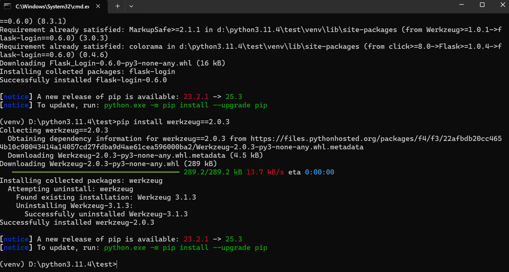 image-20251124172018967