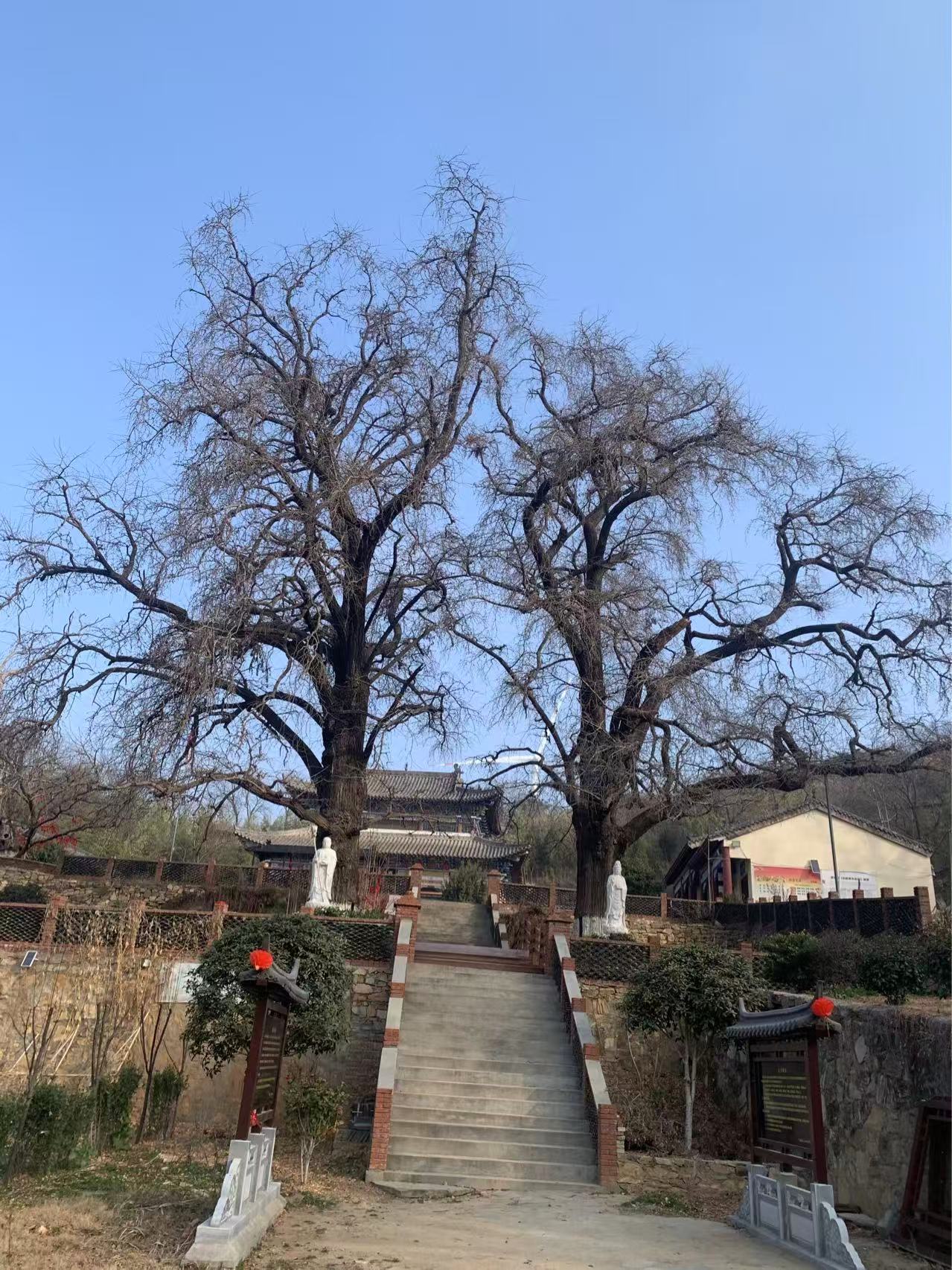 微信图片_20260105194720