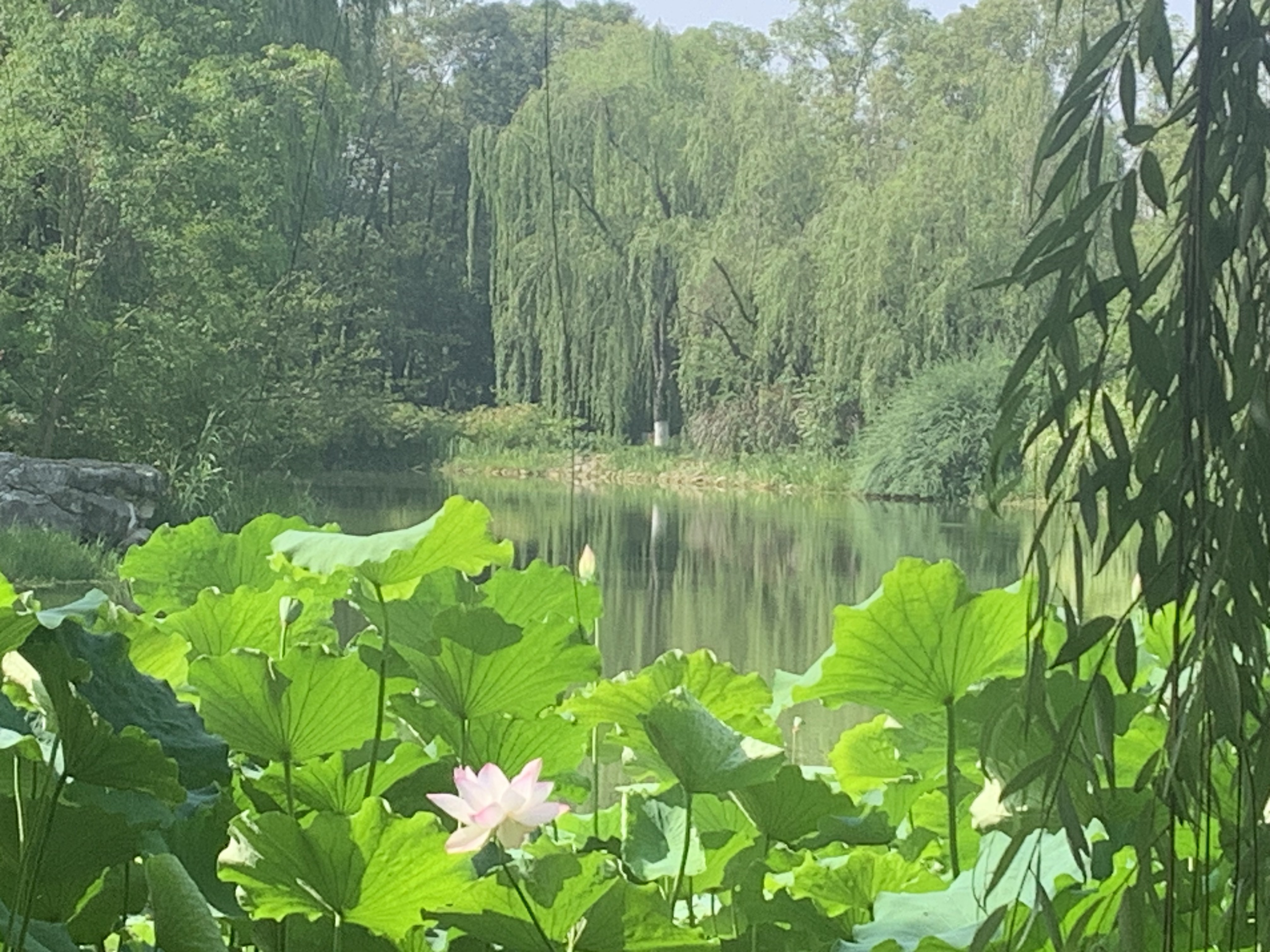 68E445E66EA3957E576ACE8AAE9DE7D8