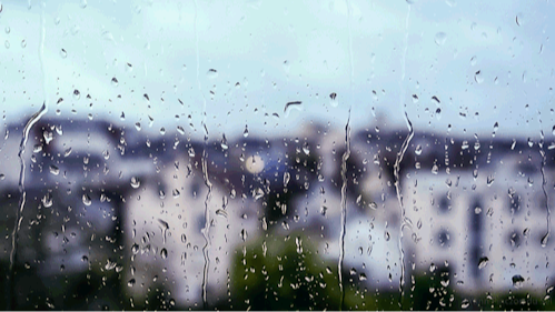 论建站有感而发