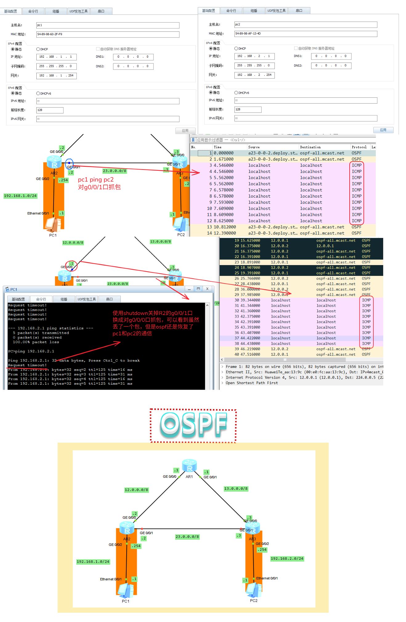OSPF实验1