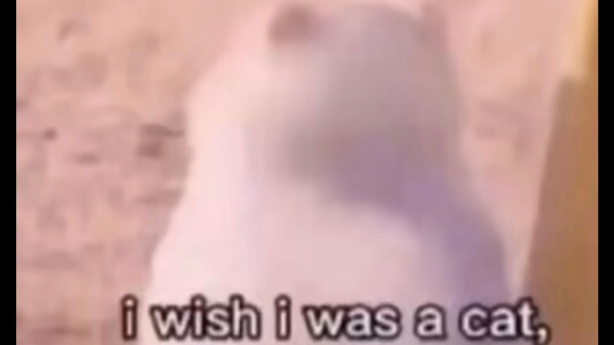 ICPC 2025 贵州  打星队游记