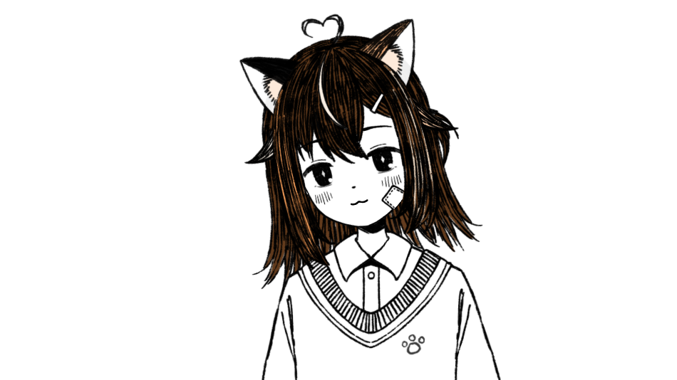 二毛 观测 &amp; 投喂 指南