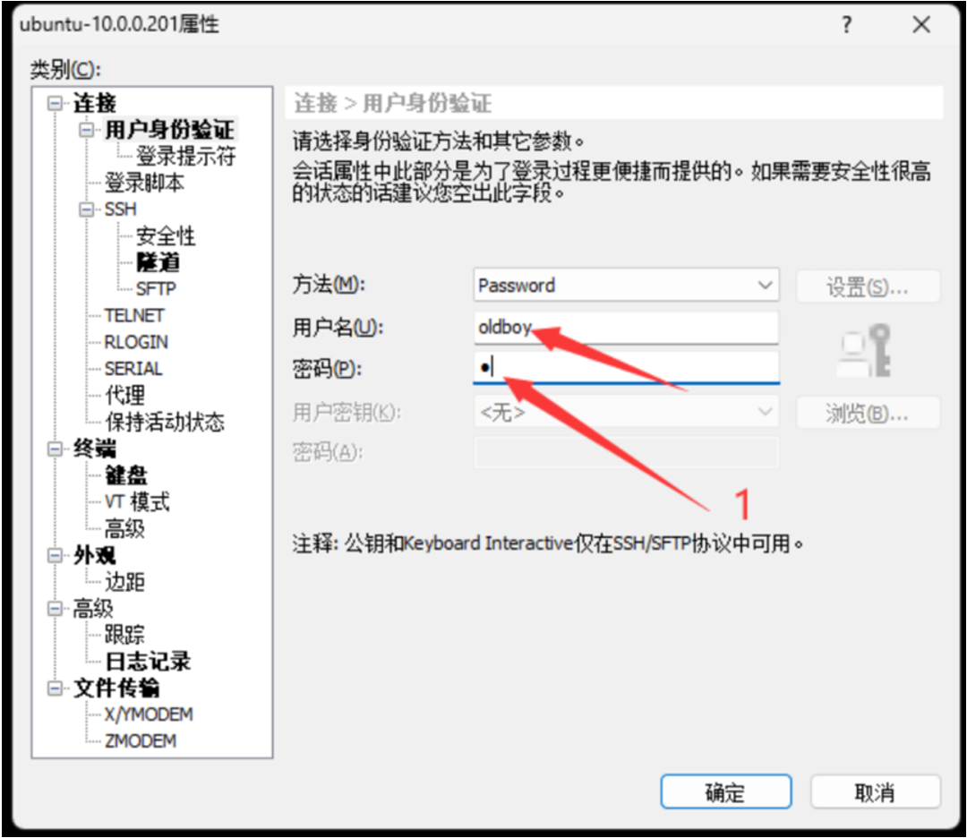 image-20250315193118885