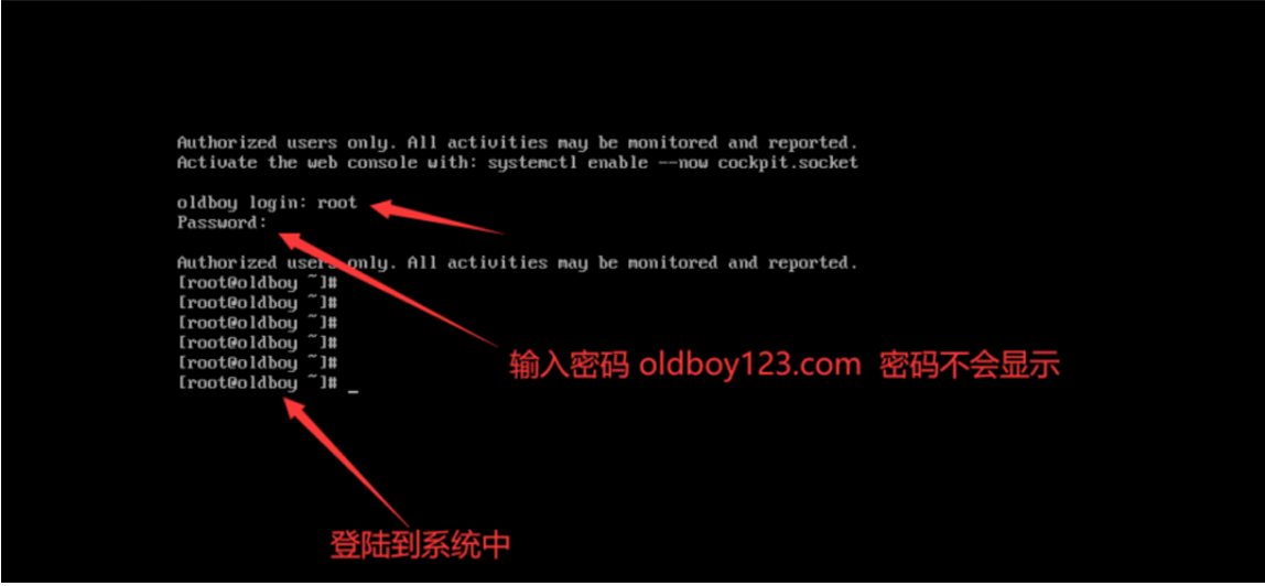 image-20250315184957539