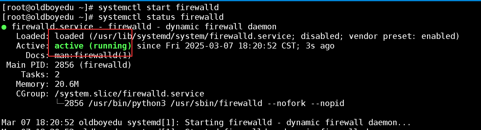 image-20250307182141803