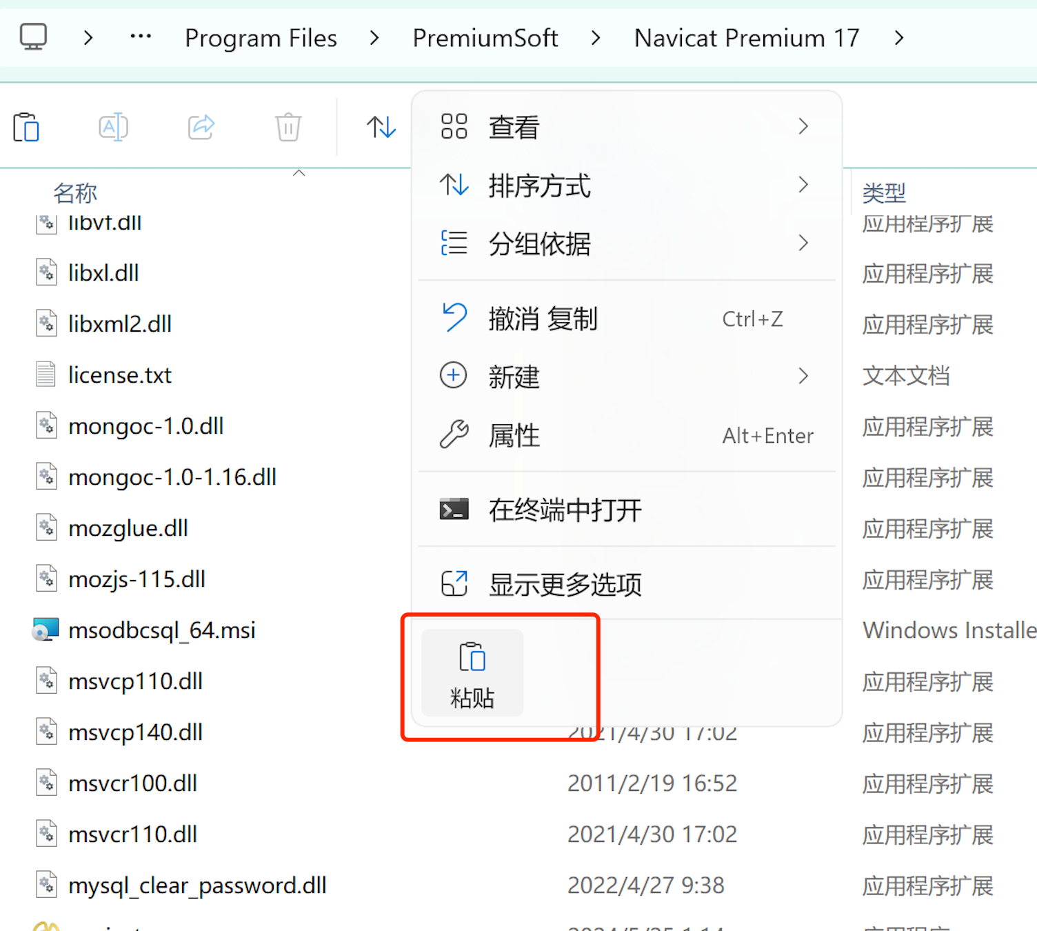 Navicat17安装教程:2025最新详细Navicat17安装步骤