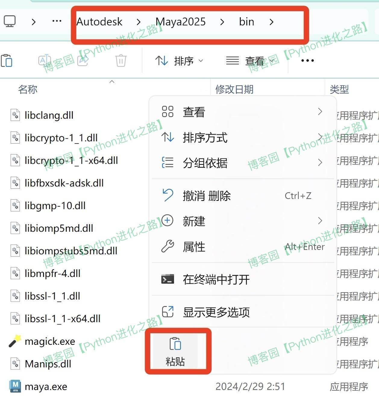 Maya 2025保姆级超详细图文下载安装激活教程