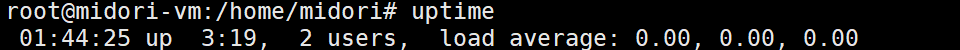 uptime