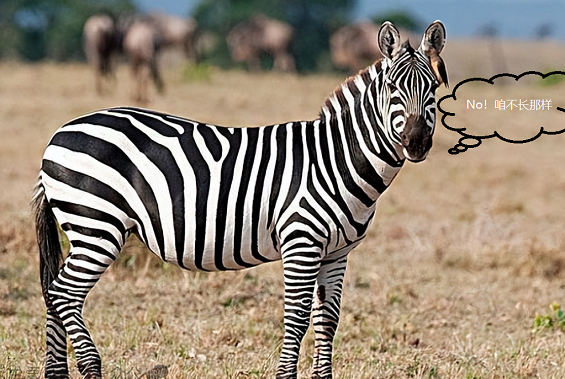 82ac6ca70487b72b05e403f0e622aaa5