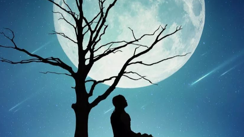 代码随想录学习