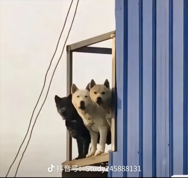 share_93335d36a1668e9ef7ec6ec3ef92be88