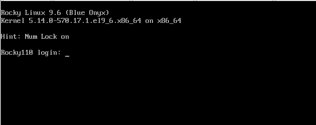 image-20250810133814380