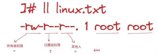 image-20250813173230481