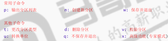 image-20250824224909727