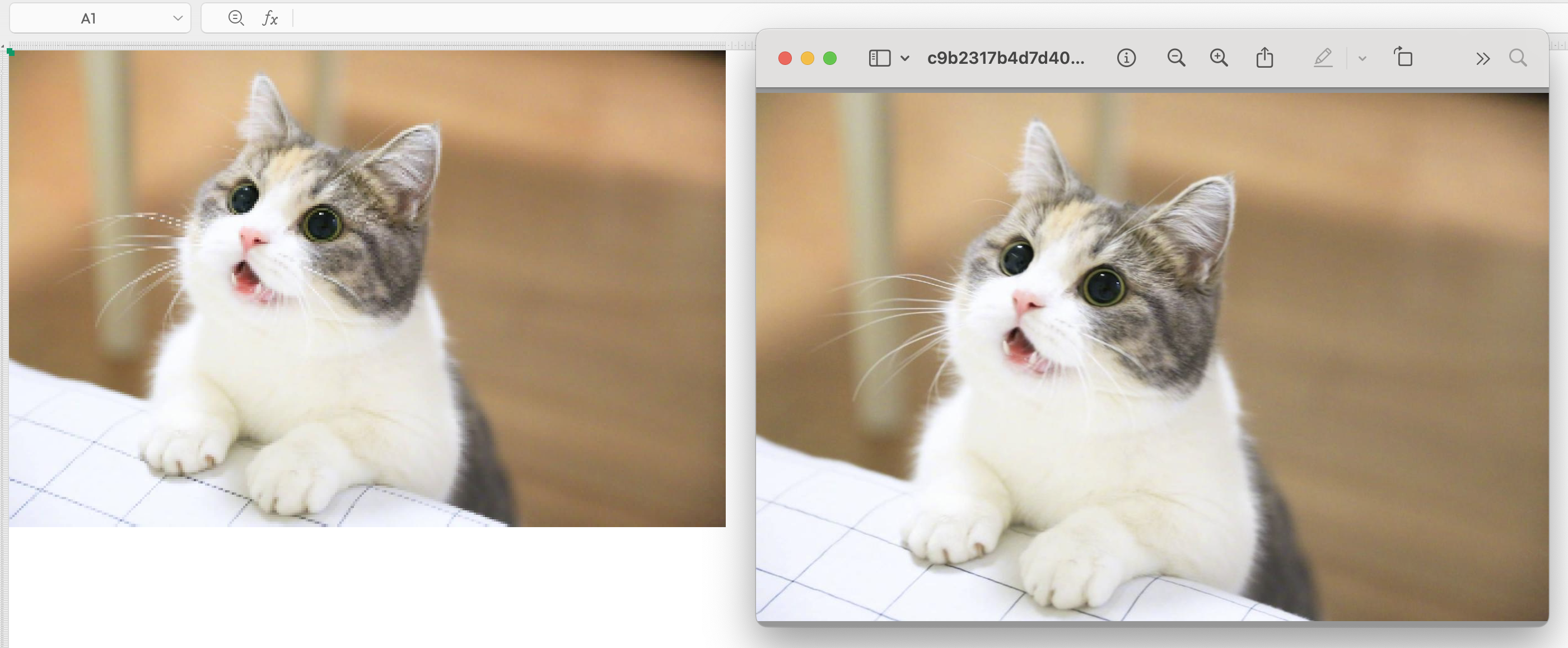 wechat_2025-10-11_113608_678