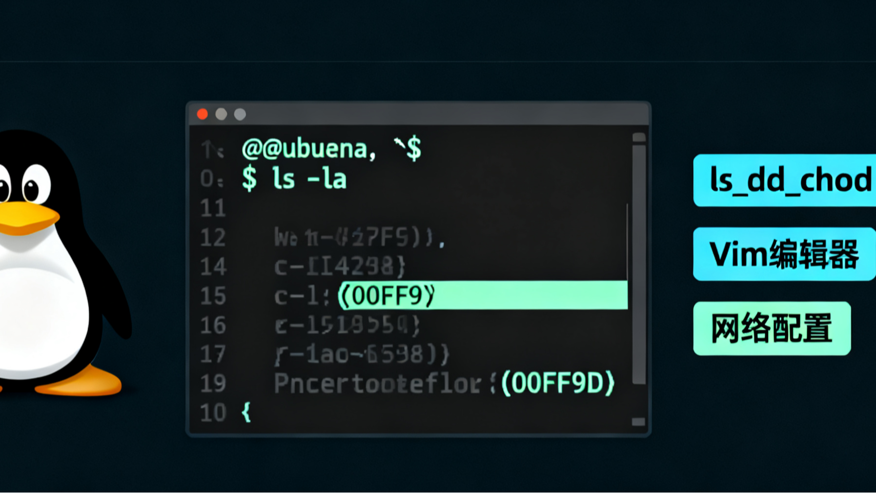 解码Linux基础命令