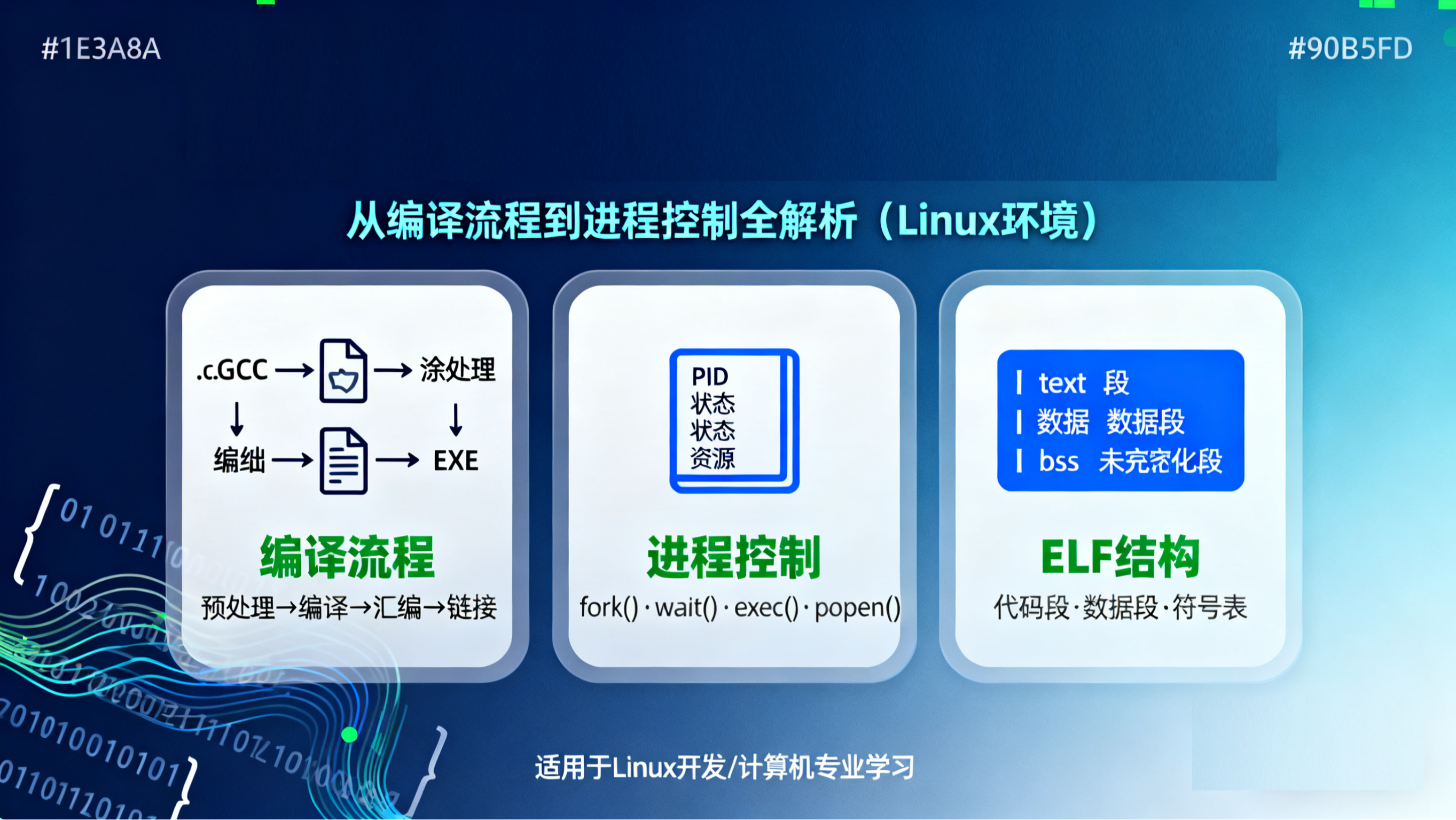 解码程序与进程