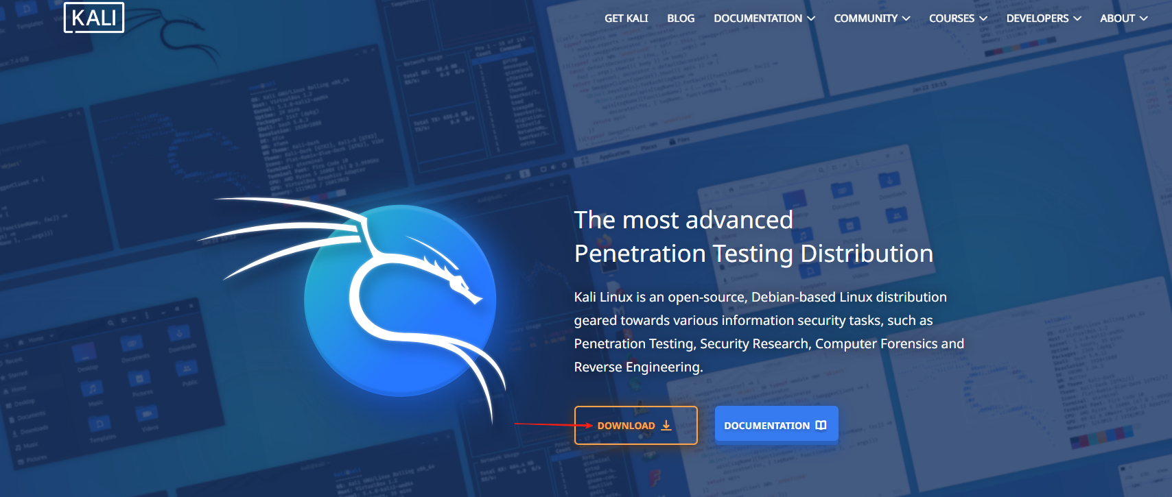 image-20250824154325428