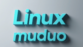 muduo源码剖析:05.基于对象与面向对象的设计