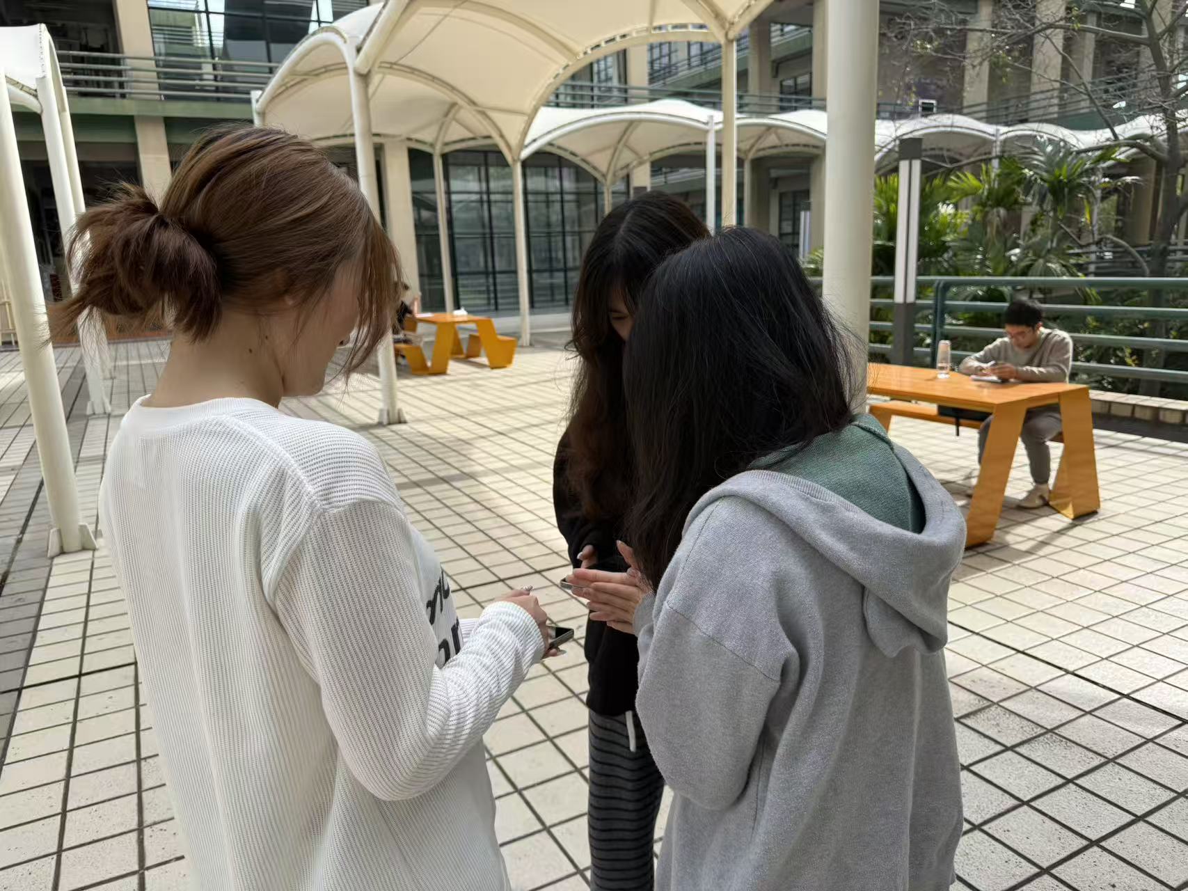 微信图片_20251201164409_341_405